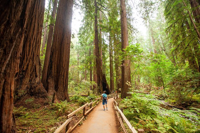 Muir Woods and Sausalito Tour Plus Bay Cruise - Muir Woods: Your 90 Minutes With Coastal Redwoods