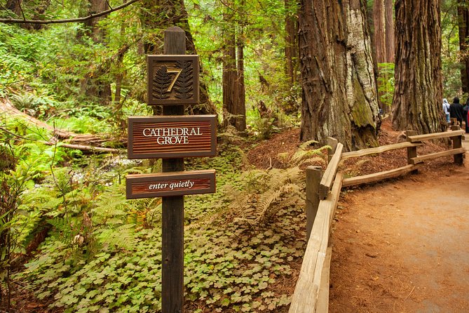 Muir Woods and Sausalito Tour Plus Bay Cruise - Comfort, Crowd Feel, and What to Bring