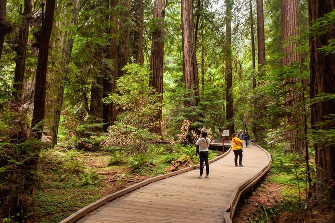 Muir Woods and Sausalito Tour Plus Bay Cruise - Tour Guides and the Difference They Make
