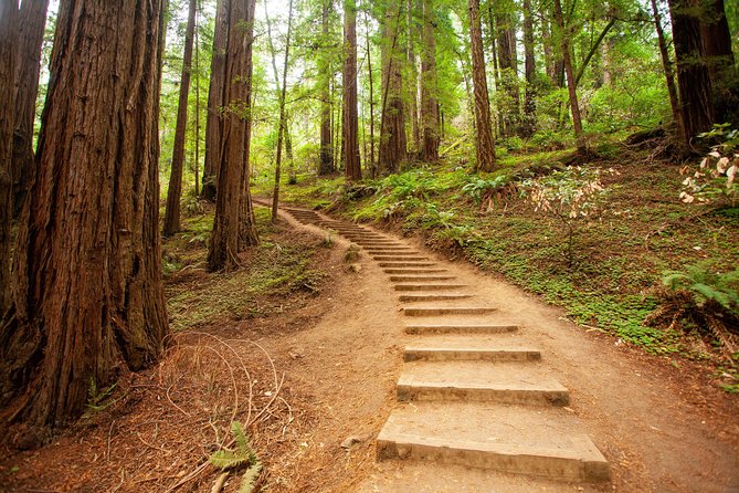 Muir Woods and Sausalito Tour Plus Bay Cruise - The Golden Gate Bridge Photo Stop You’ll Actually Use