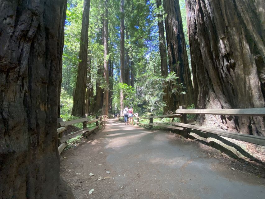 Muir Woods, Golden Gate Bridge & Sausalito Private Tour 3+hr - Muir Woods National Monument: giant redwoods plus a guided walk