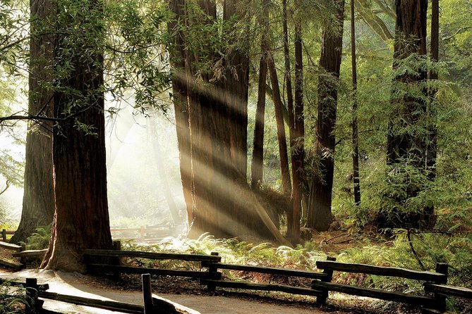Muir Woods & Napa-8hr-Private Scenic Wine Tour From San Francisco - The short version: what this private wine day actually feels like