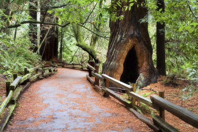 Muir Woods & Napa-8hr-Private Scenic Wine Tour From San Francisco - Stop 1: San Francisco start (brief) and what to do before you leave
