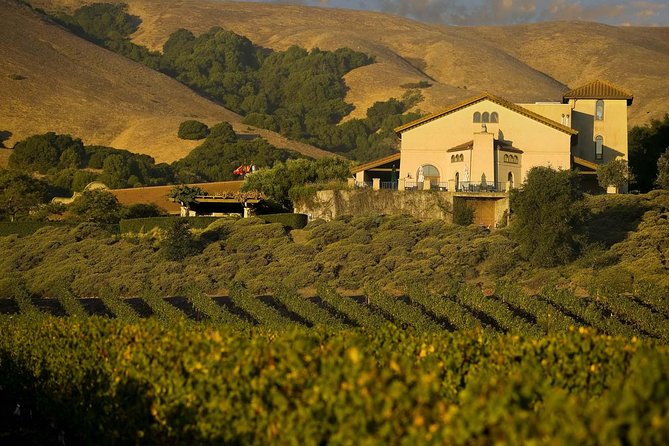 Muir Woods & Napa-8hr-Private Scenic Wine Tour From San Francisco - Your driver and the difference between “transport” and “running the day”