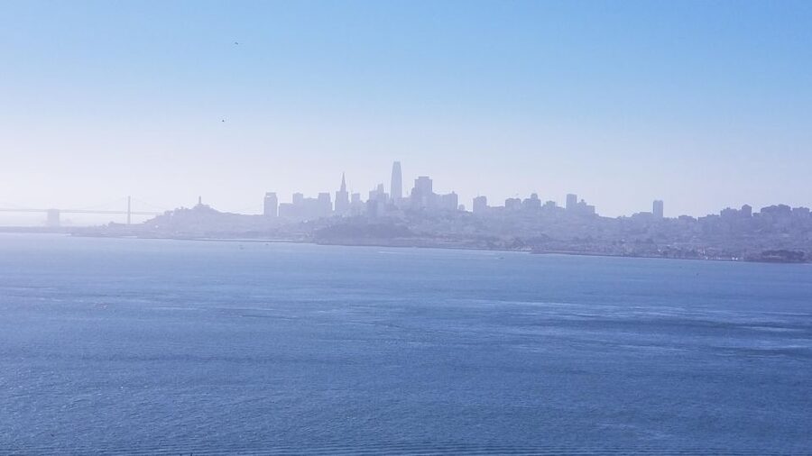 Muir Woods, Sausalito and Ferry back to Fisherman's Wharf - Tips to make the day feel smooth