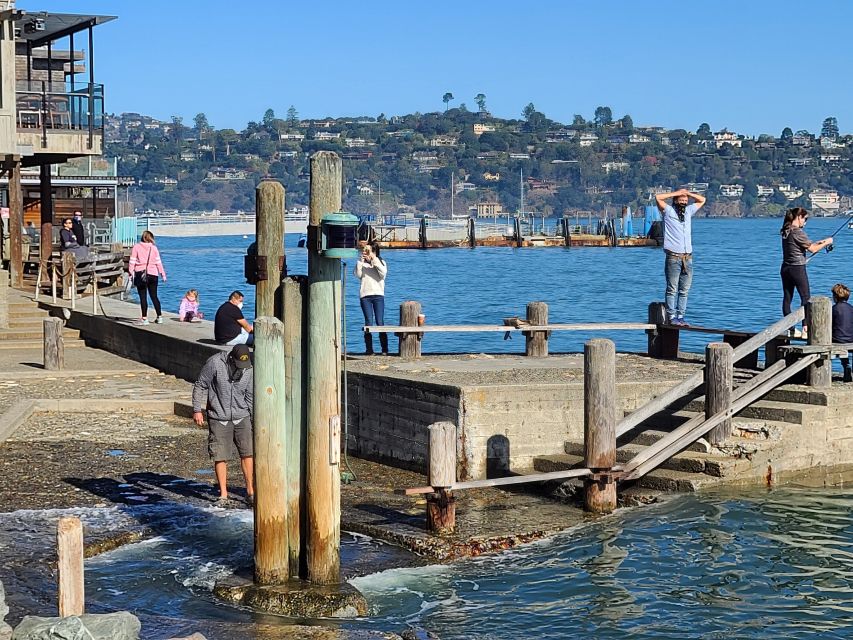 Muir Woods, Sausalito and Ferry back to Fisherman's Wharf - Pickup and drop-off: less hassle, more day