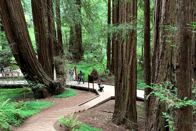 Muir Woods, Sausalito and Golden Gate Bridge - A Marin day plan that keeps the driving simple