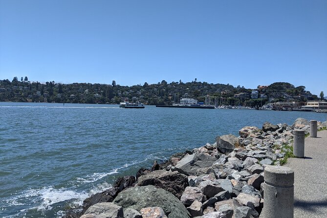 Muir Woods, Sausalito and Tiburon Day Trip from San Francisco - Price and Value: When This Feels Like a Win