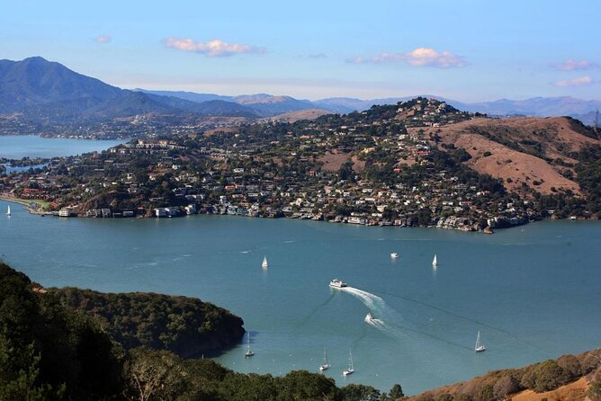 Muir Woods, Sausalito and Tiburon Day Trip from San Francisco - Weather and Timing: How to Dress so You Don’t Get Grumpy