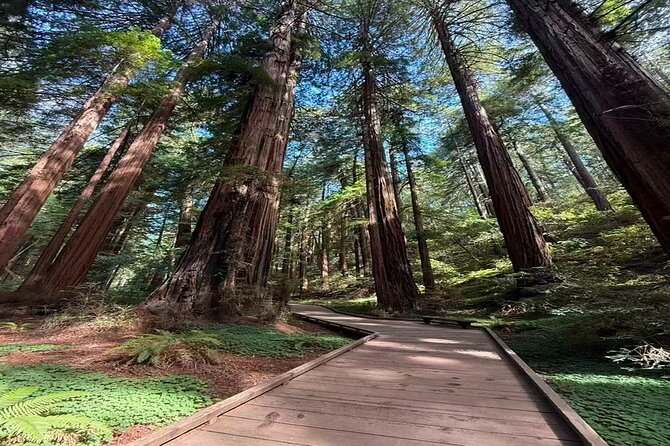 Muir Woods, Sausalito, Battery Spencer Premium Small-Group Tour - Key Tour Highlights to Know