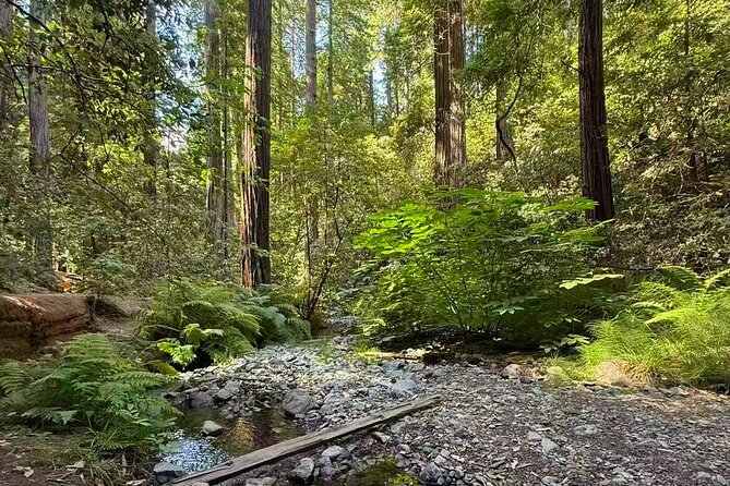 Muir Woods, Sausalito, Battery Spencer Premium Small-Group Tour - Price and Value: Is $89 a Good Deal for This Route?