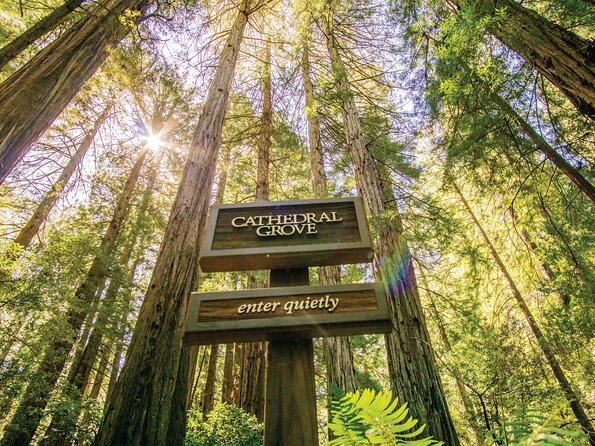 Muir Woods & Sausalito Tour - Golden Gate Bridge Crossing: The Quick Stop With Real Payoff