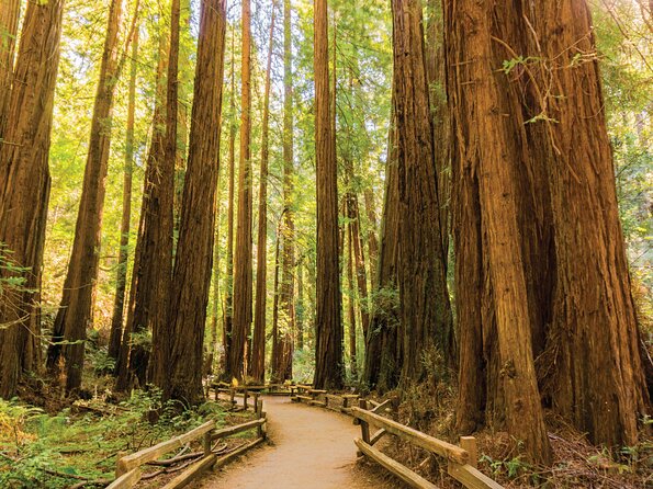 Muir Woods & Sausalito Tour - Sausalito in 50 Minutes: Coastal Charm, But Think Snacks, Not a Meal