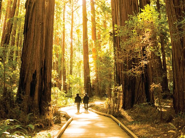 Muir Woods & Sausalito Tour - Who This Tour Suits Best (And Who Should Rethink It)