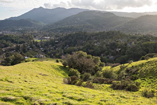 Muir Woods Self-Guided Driving and Walking Audio Tour - Stop 0: The Edge of the Monument and the Mount Tamalpais Railway Clue