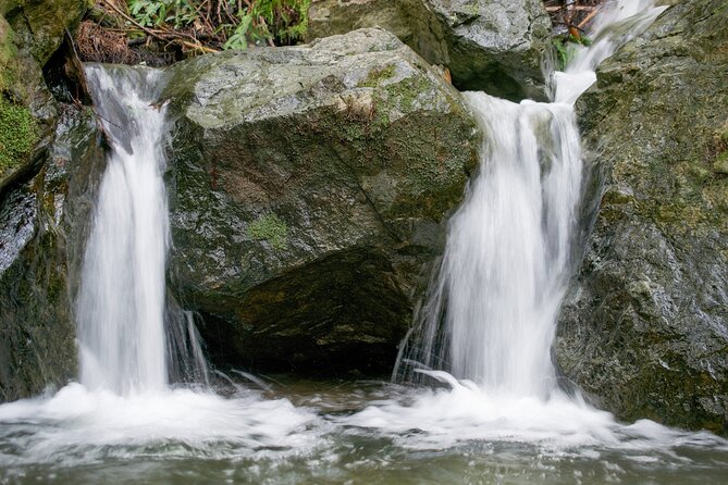 Muir Woods Self-Guided Driving and Walking Audio Tour - Starting Point Near Mill Valley: Where You Begin Matters