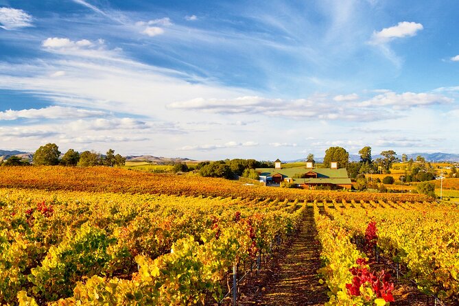 Muir Woods & Wine Tour: Redwoods & Tastings at 3 Wineries - Guide and Group Size: Why It Can Feel Personal