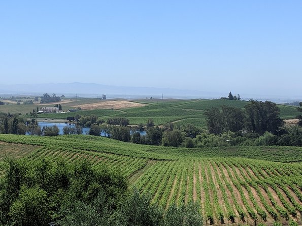 Napa and Sonoma Valley Wine 6 hour Tour from San Francisco - Key highlights you’ll feel right away
