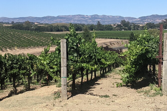 Napa and Sonoma Valley Wine 6 hour Tour from San Francisco - Sonoma County wineries: boutique tastings with room to breathe