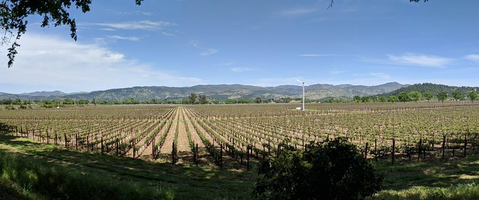 Napa and Sonoma Valley Wine 6 hour Tour from San Francisco - Sonoma Plaza and the Bear Flag / mission stop you may not expect