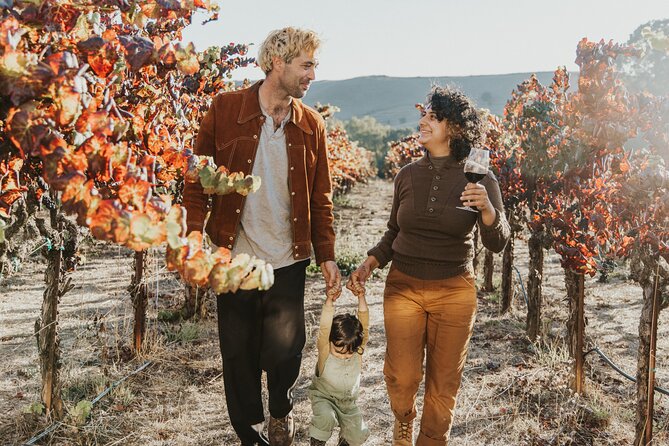 Napa and Sonoma Wine Tour from San Francisco - Sonoma Plaza’s two-hour break: where the day really opens up