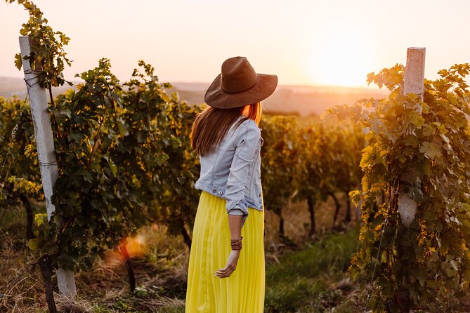 Napa or Sonoma Private Wine Tour from San Francisco - Timing, meeting, and how to avoid a rushed start
