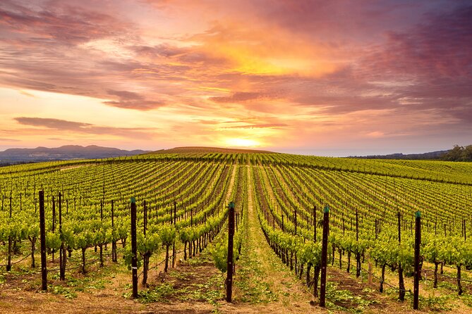 Napa or Sonoma Private Wine Tour from San Francisco - Napa Valley: how to make the stop feel tailored, not generic