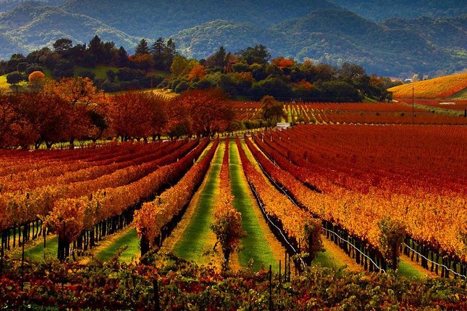 Napa - Sonoma Limo up to 9 passengers - The Mercedes Sprinter Van setup for groups up to 9