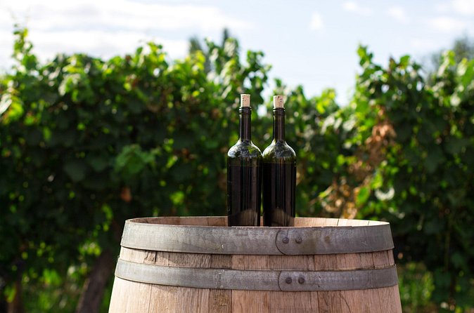 Napa Valley and Sonoma Wine Tour - Getting history and personality from your guide