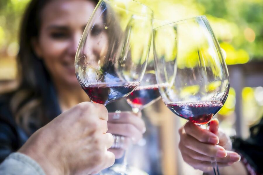 Napa Valley: Guided Wine Tour with Picnic Lunch - Napa Valley wine, minus the driving stress