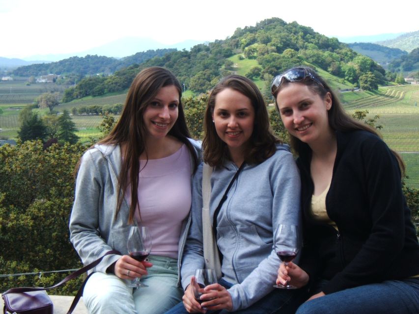 Napa Valley: Guided Wine Tour with Picnic Lunch - Who should book this Napa picnic wine tour