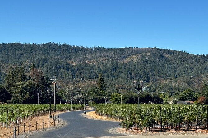 Napa Valley Luxury Wine Tours & Car Services - Smart Planning Tips for a Smooth 6-Hour Wine Day