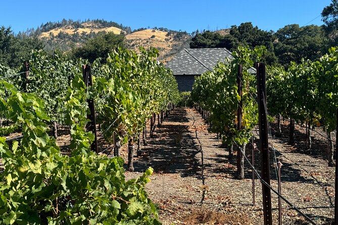 Napa Valley Luxury Wine Tours & Car Services - How Pickup Works: Looking for the Logo and Your Name Sign