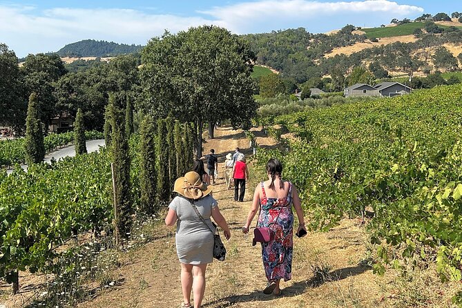 Napa Valley Mountainside Small Group Winery Tour - Price and Value: What $151.48 Covers (and What You’ll Add)