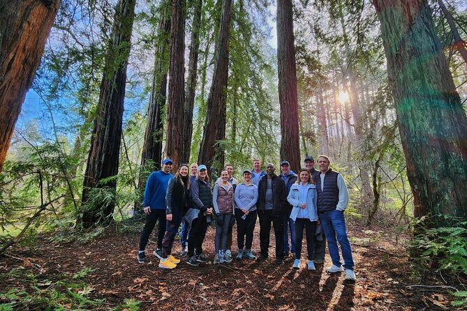 Napa Valley Redwood Hike - Key things to know before you go