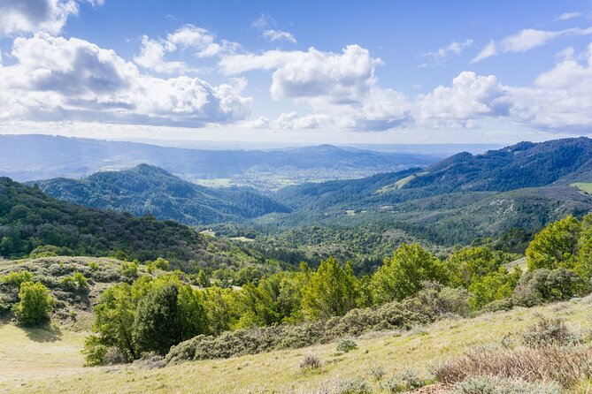 Napa Valley & Sonoma Self-Guided Audio Driving Tour - Calistoga and St. Helena: wineries, views, and Judgment of Paris energy