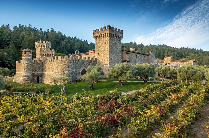 Napa Valley Wine and Food Tasting Tour from San Francisco - The day’s pacing: what a 9-hour Napa itinerary really feels like