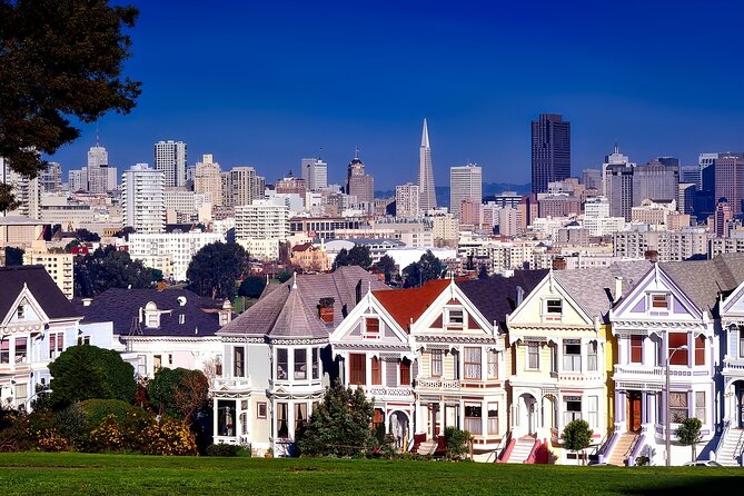 Nearly Private San Francisco Tour Including Sausalito - Legion of Honor and the Rodin Thinker vista: art you can see from the road