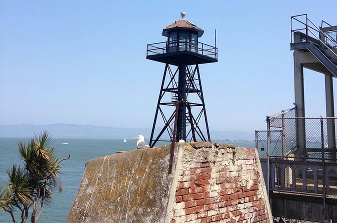 Official Alcatraz Tour with Golden Gate Bridge Bay Cruise - The Golden Gate cruise: sailing around Alcatraz and going under the bridge