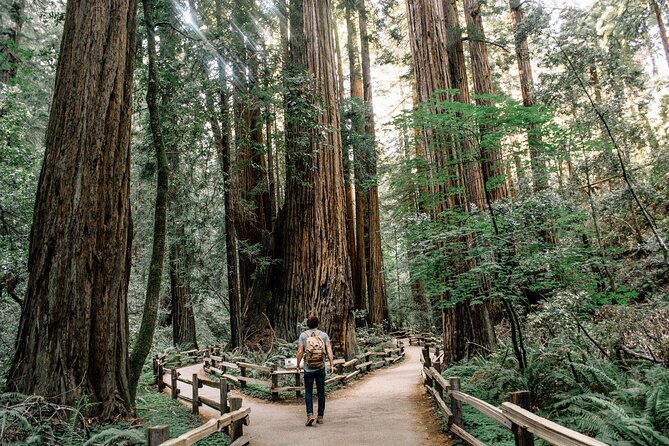 One Day in San Francisco: Alcatraz, Muir Woods, and SF City Tour - Muir Woods: how to make the 1.5 hours count