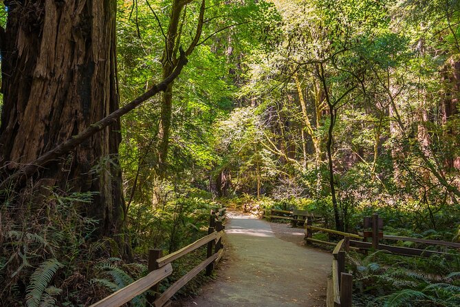 One Day in San Francisco: Alcatraz, Muir Woods, and SF City Tour - Pacific Heights, Crissy Field, and Fort Point under the Golden Gate