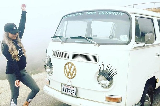 Painted Ladies San Francisco City Tour - Music, snacks, and BYOB: making the ride feel easy