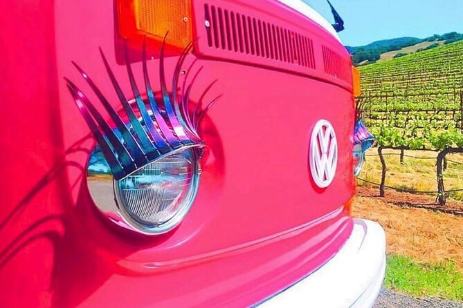 Painted Ladies Wine Country Tour - What the small-group format really changes for your day