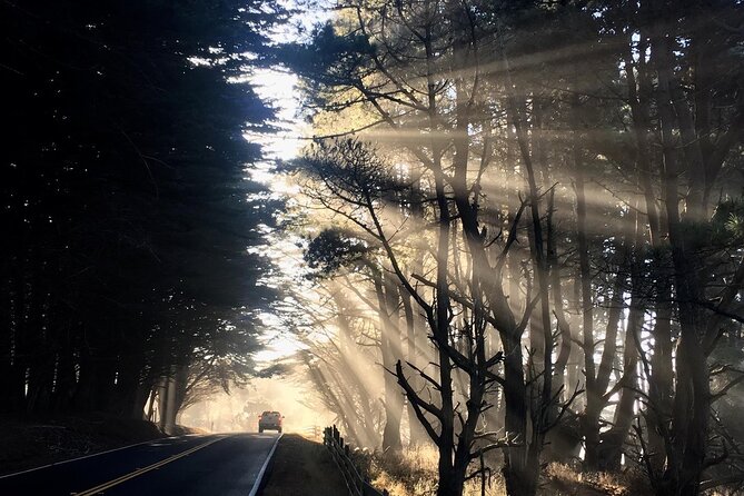 Picture your best SF tour ever! (Epic Bay Area photo adventures) - Up the hills: Mount Tamalpais + Golden Gate National Recreation Area