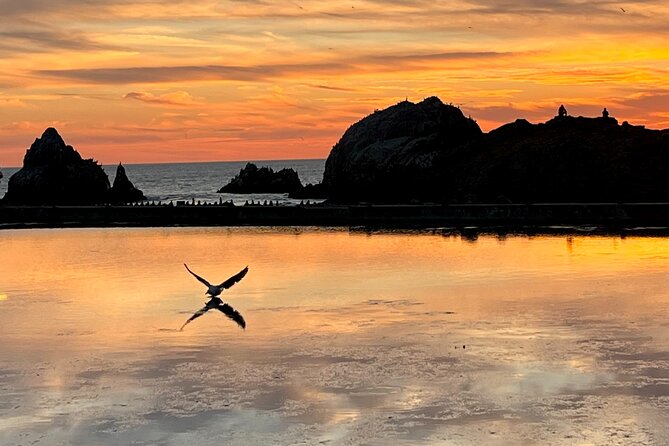 Picture your best SF tour ever! (Epic Bay Area photo adventures) - Weather and seasons: why the guide picks locations that day