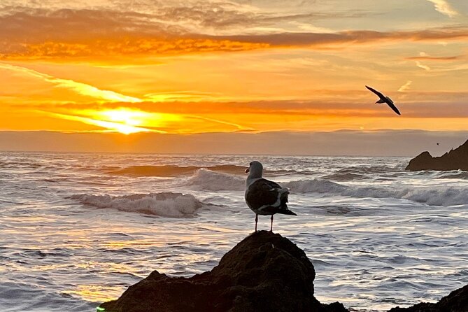 Picture your best SF tour ever! (Epic Bay Area photo adventures) - Bridge views and redwood shade: Golden Gate Bridge + Muir Woods