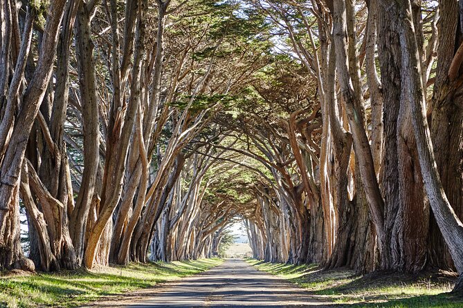 Point Reyes National Seashore Self Guided Driving Audio Tour - Setup in 10 minutes: offline audio, maps, and car stereo options