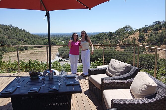Private Chauffeured Winery Tour - Key highlights you’ll care about