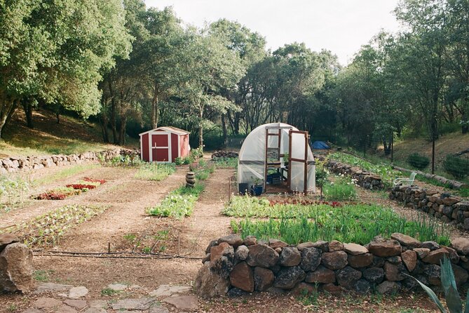 Private Farm Workshop in Napa Valley - The Tasting Walk Through the Market Garden (and the Seasonality Lesson)