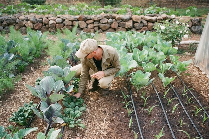 Private Farm Workshop in Napa Valley - The Drive Up Matters: A Different Side of Napa and Sonoma